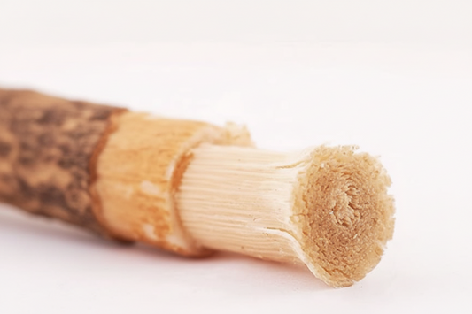Natural Miswak Toothbrush | Ancient Arak Wood Stick