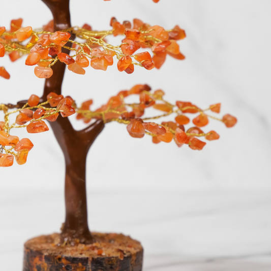 Wooden Carnelian Crystal Tree — Creativity & Vitality