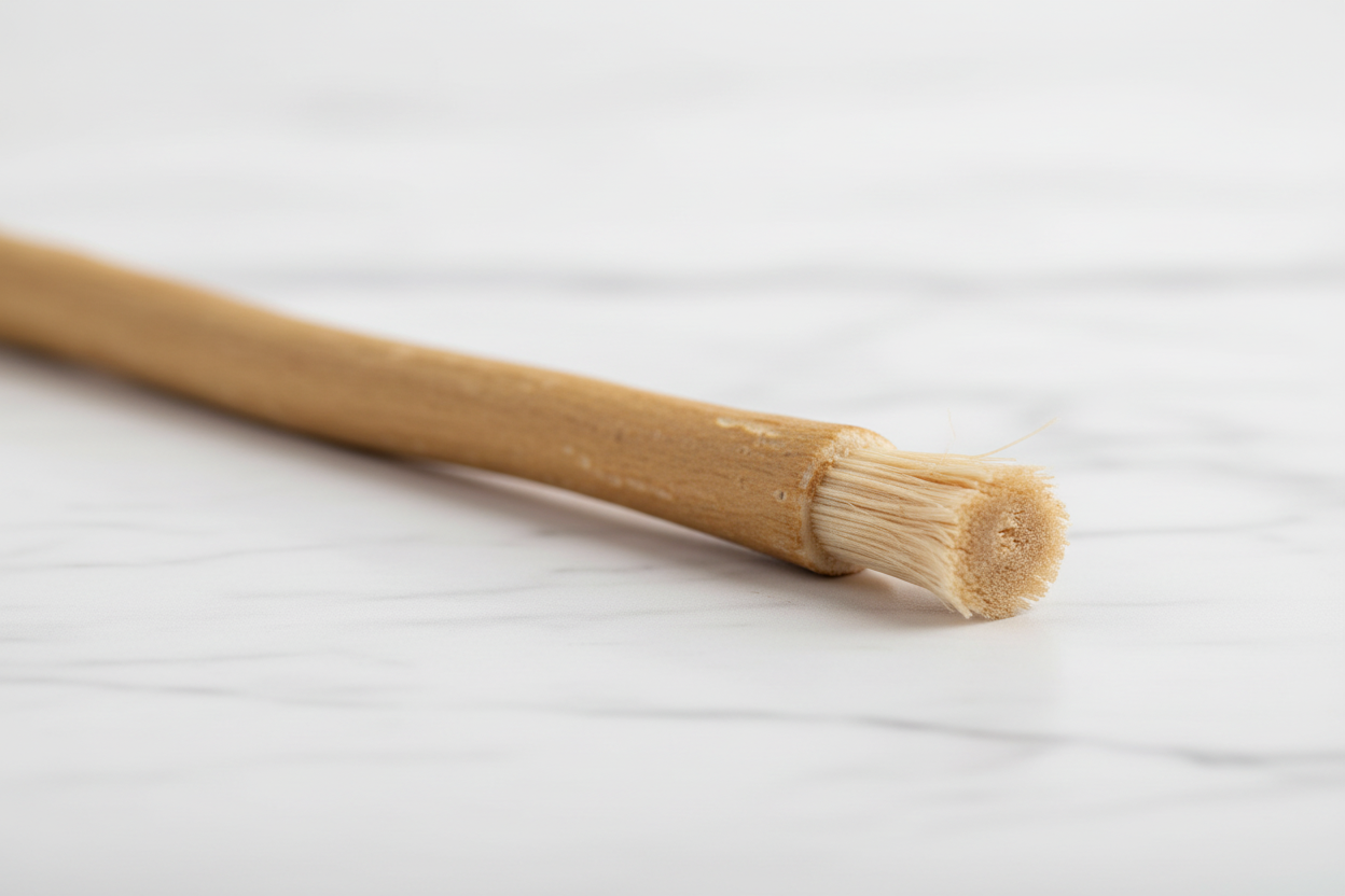 Natural Miswak Toothbrush | Ancient Arak Wood Stick